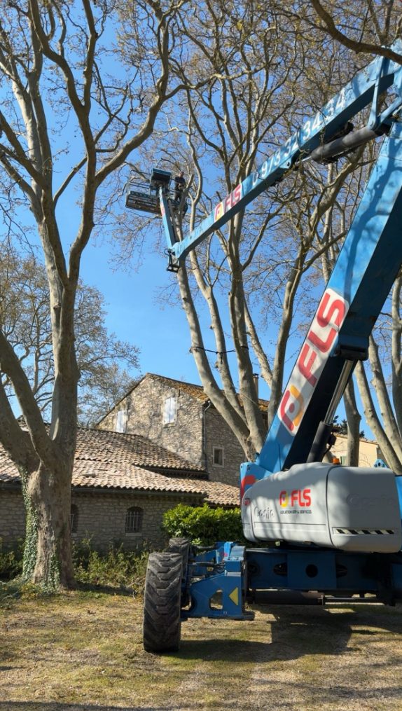 Chantier d'élagage avec nacelle