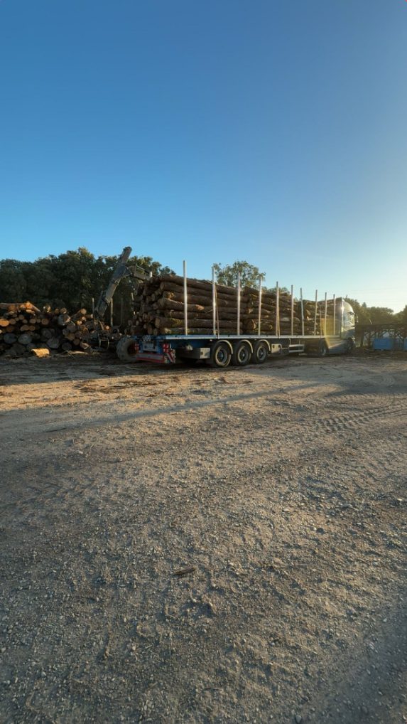 Livraison de billes de bois brut